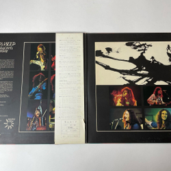 Винтажная виниловая пластинка LP Uriah Heep The Magician's Birthday (Japan 1972) (Obi) Spider Woman