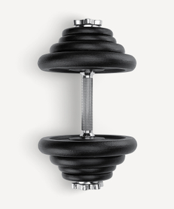 Гантель разборная чугунная в коробке DB-715, 20 кг