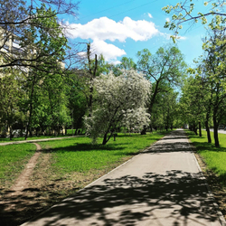 Грифон