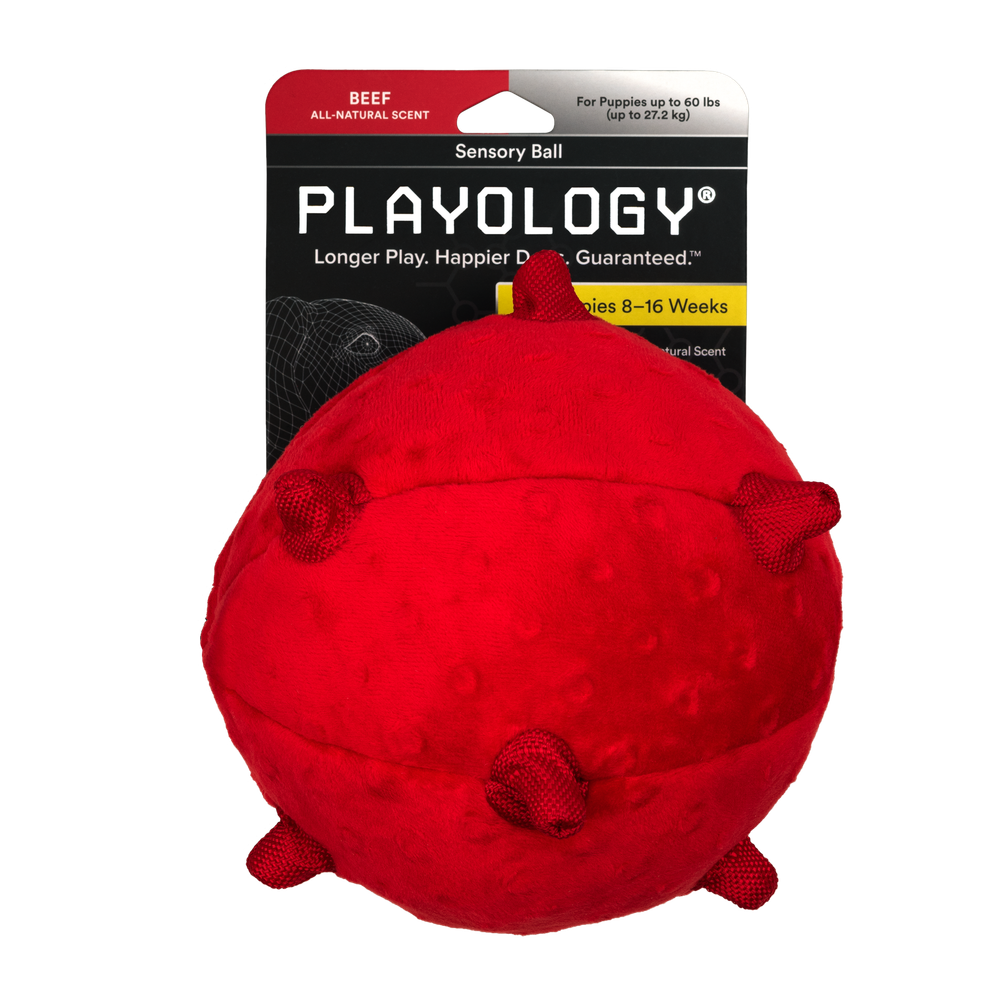 Сенсорный плюшевый мяч Playology PUPPY SENSORY BALL 15 см для щенков средних и крупных пород 8-16 недель с ароматом говядины, цвет красный