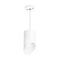 Комплект с подвесным светильником Lightstar Rullo (213486+590086+201486) RP348686