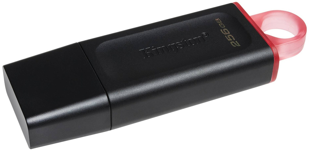 USB Flash карта Kingston DTX/256GB 256 Гб