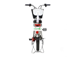 Электровелосипед Green Camel Транк-18 V2 (R18 250W)