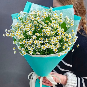 Букет из 9 ромашек