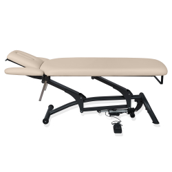 Массажный стол стационарный Mizomed Goodwill-Basic с электроприводом