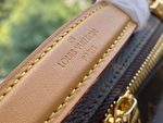 Louis Vuitton Utility Crossbody