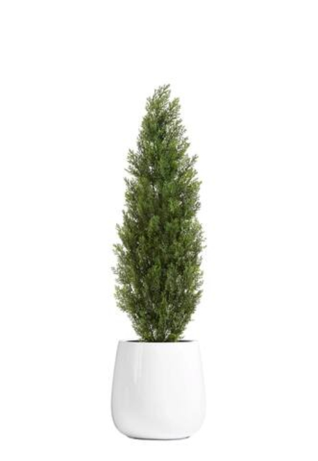 Комплект - Туя Эйр Элеганс в кашпо TREEZ Effectory Gloss