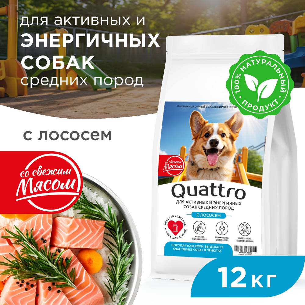 Корм сухой для взрослых собак средних пород, премиум полнорационный комплекс, для активных и энергичных, с лососем, 12 кг, QUATTRO