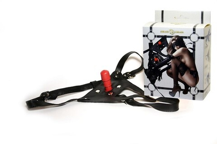 Трусики с плагом в Коробочке