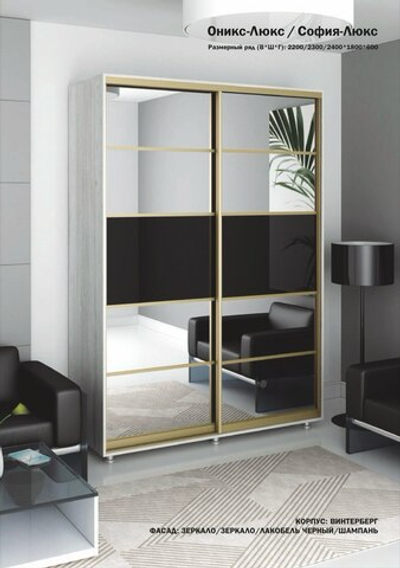 Шкаф купе 2 ств. "София-Люкс/Оникс-Люкс/Экон-Люкс"