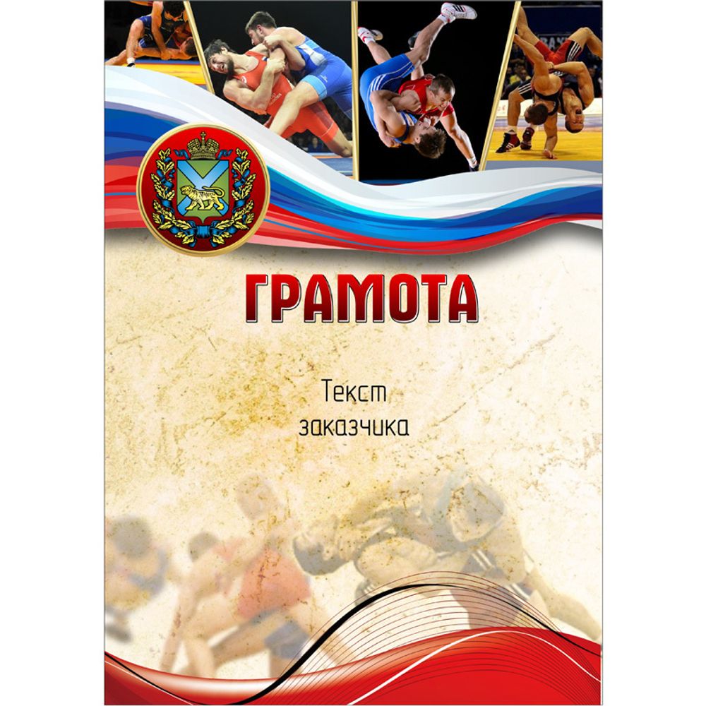 PNDiploma-049 с текстом