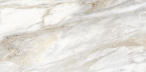 TWU2550EPH74 плитка облицовочная Euphoria 249*500