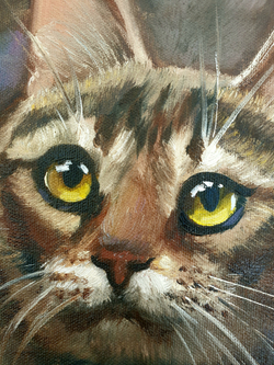 Деревенский кот