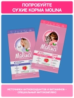 Функциональное крем-лакомство MOLINA с креветками для кошек для Поддержки здорового метаболизма 4х12г