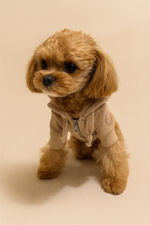 Пушистые хвостики худи "G" Latte