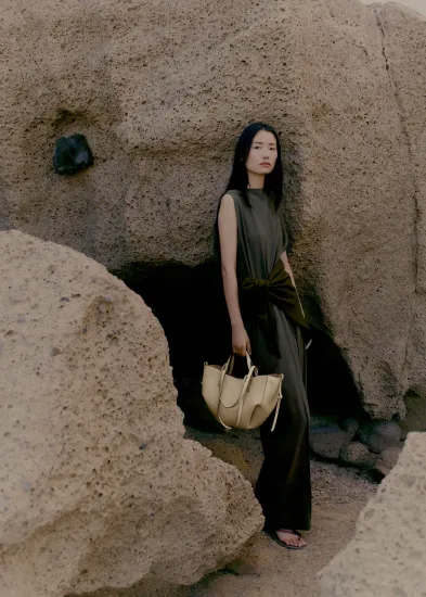 Сумка Polene Cyme