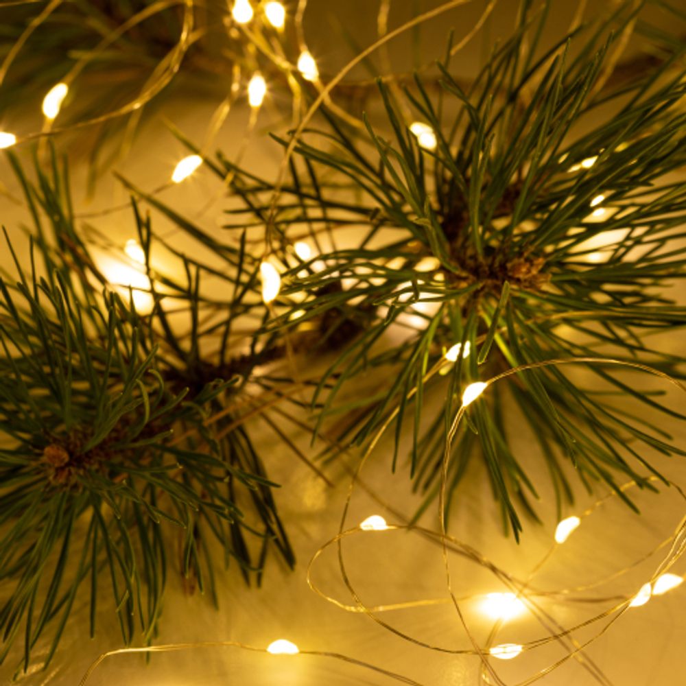 Светодиодная новогодняя гирлянда ЭРА ЕGNIG - ZW занавес с пультом 3*3 м теплый белый 300 LED | Гирлянды