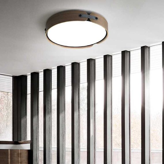 Потолочный светильник Imperium Loft Range 101959-26