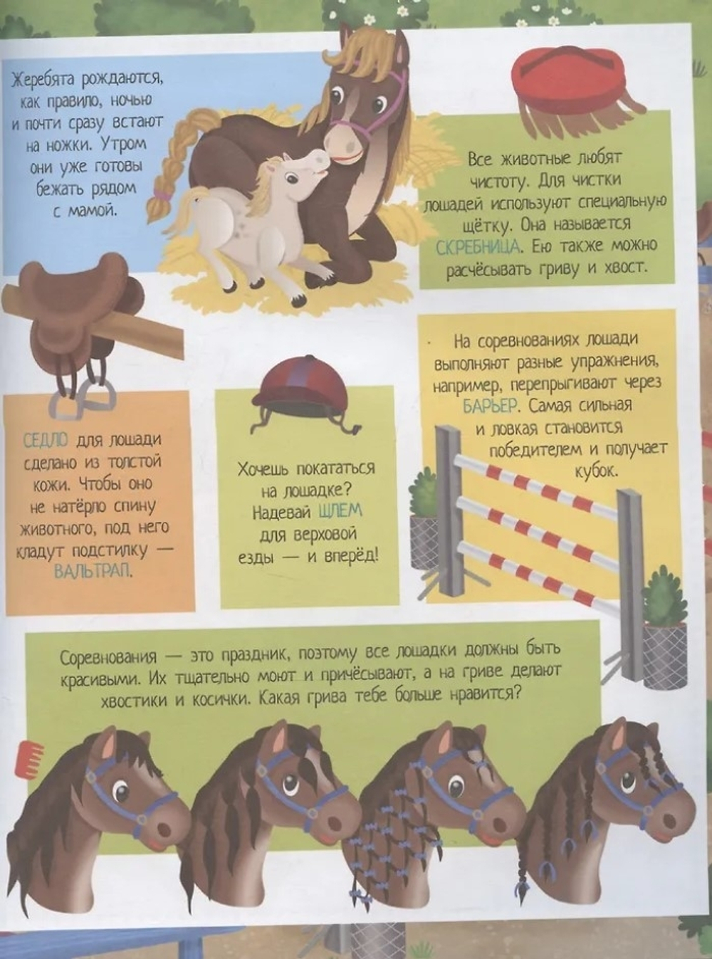 Книжка с наклейками формат А4.Грациозные лошадки. 70 наклеек., изд.: Айрис, авт.: Барсотти Э., серия.: Книжки с наклейками