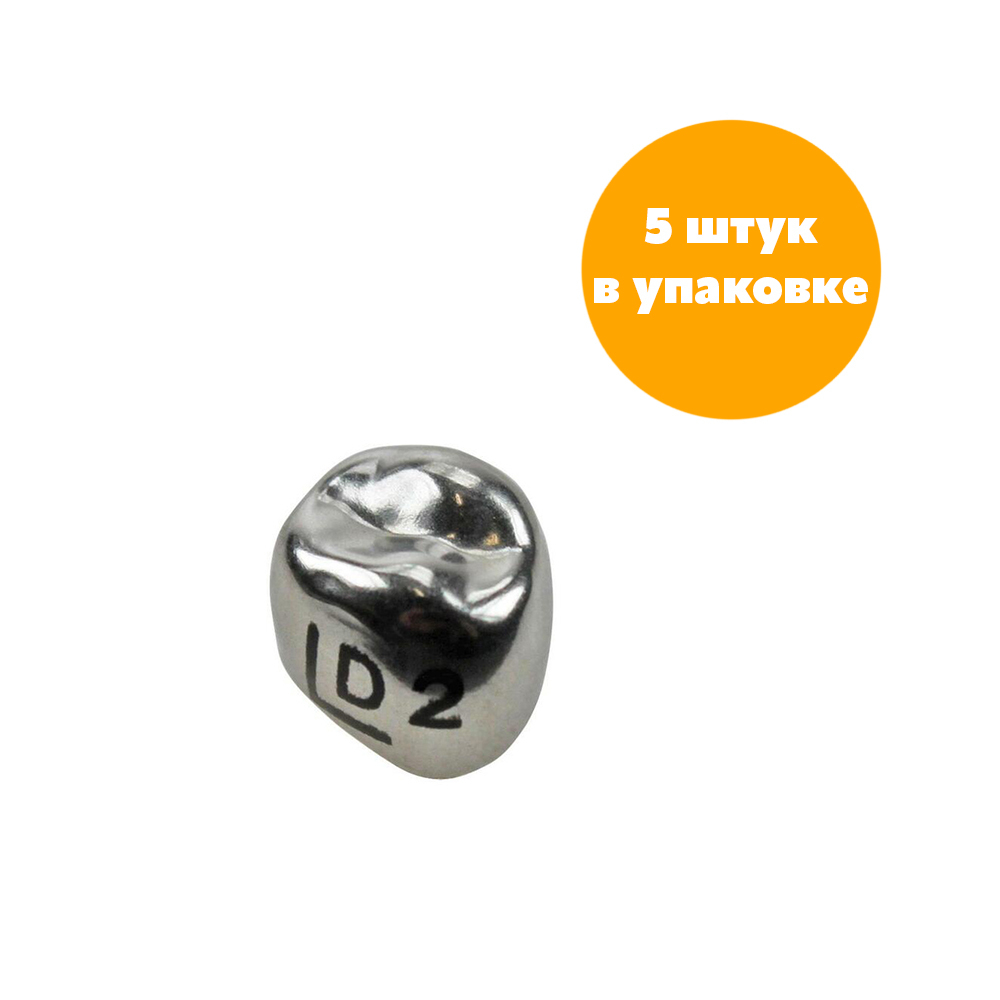 Первый верхний левый моляр, размер 2 (D-UL-2)