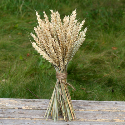 Букет сухоцветов Пшеницы 40х18 см