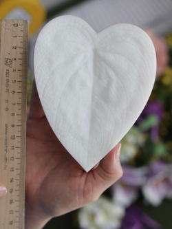 Вайнер лист Каладиума ClayCraft by DECO™