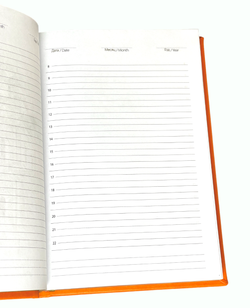 IMG_4556-Photoroom.png-Photoroom