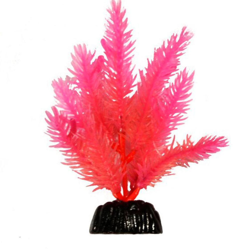 Растение светящееся в темноте 10см