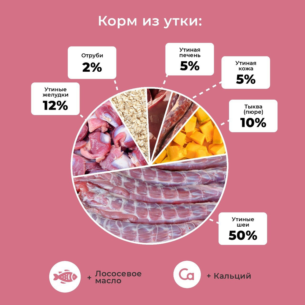 Корм консервированный из утки для собак всех пород и возрастов