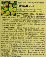 Хризантема Девичья Голден Бол 0,05 г СМЦ-336