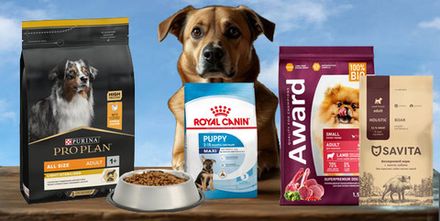 Сухие корма