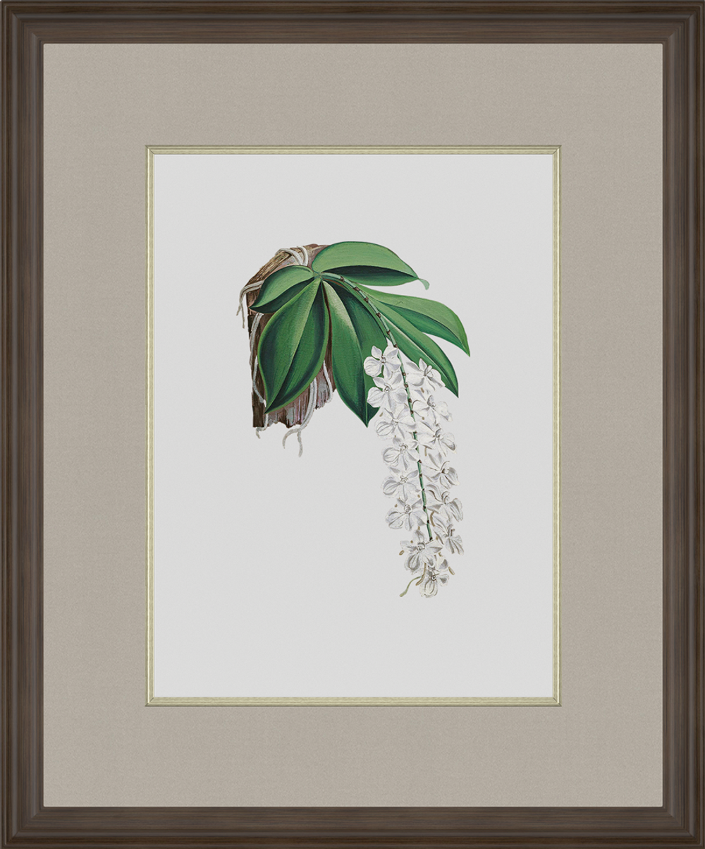 Картина 059 (X)