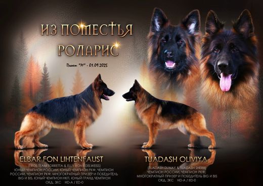 Помет "М" 01.09.2025 - подробнее...→