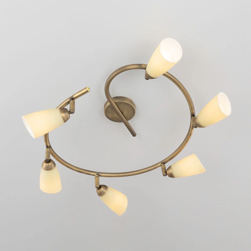 Citilux Белла CL501163 Спот поворотный Бронза