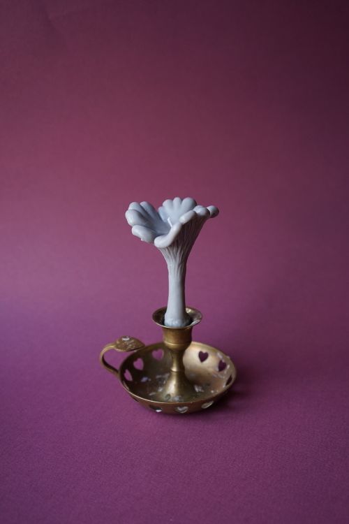 Свеча Unification Love Гриб Лисичка Серая (Пачули и дерево)