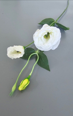 Эустома / Арт 2329