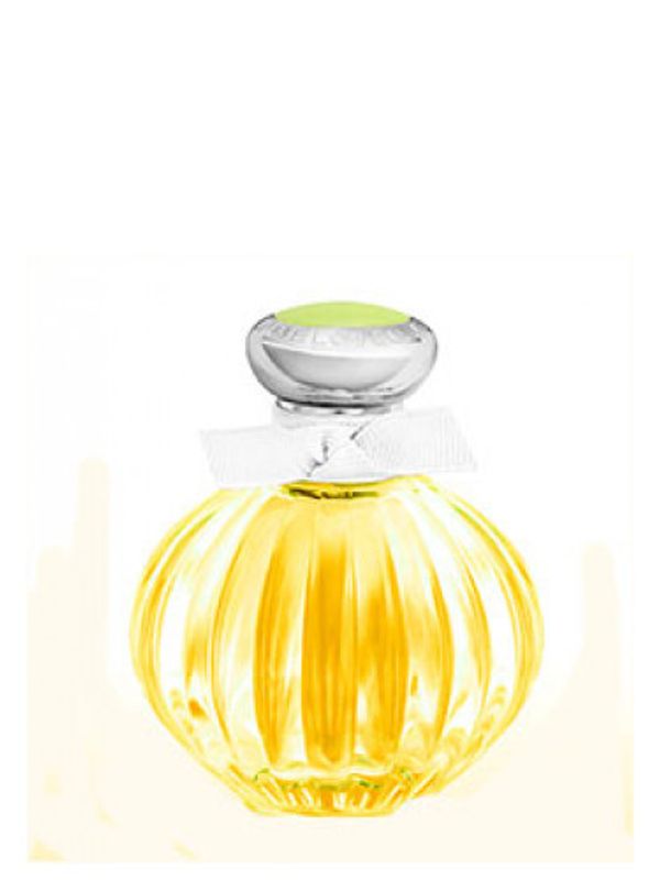 American Beauty Beloved Moments