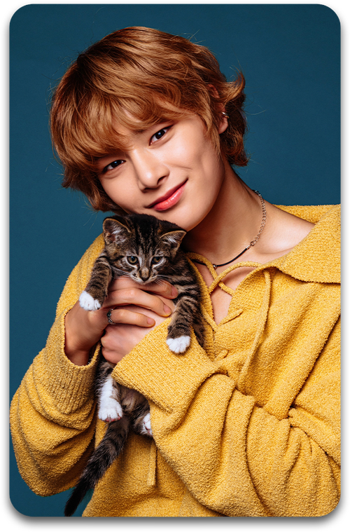 Карта / STRAY KIDS #3412