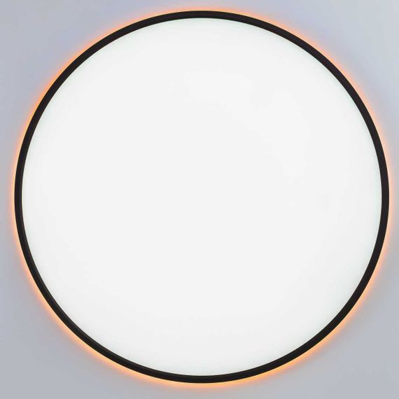 Потолочный светильник Citilux NORMA CL749601