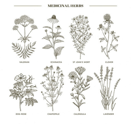 "Полевые цветы", фотокартина (репродукция)