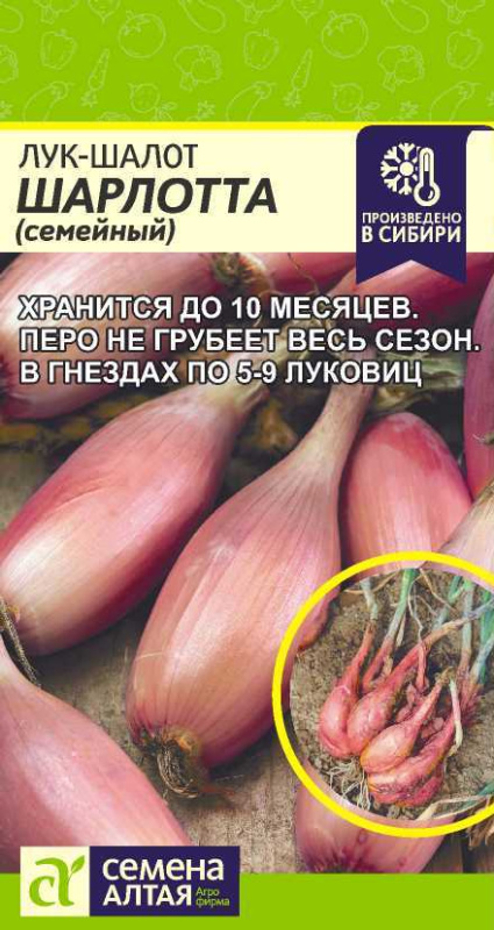 Лук -шалот Шарлотта (семейный)