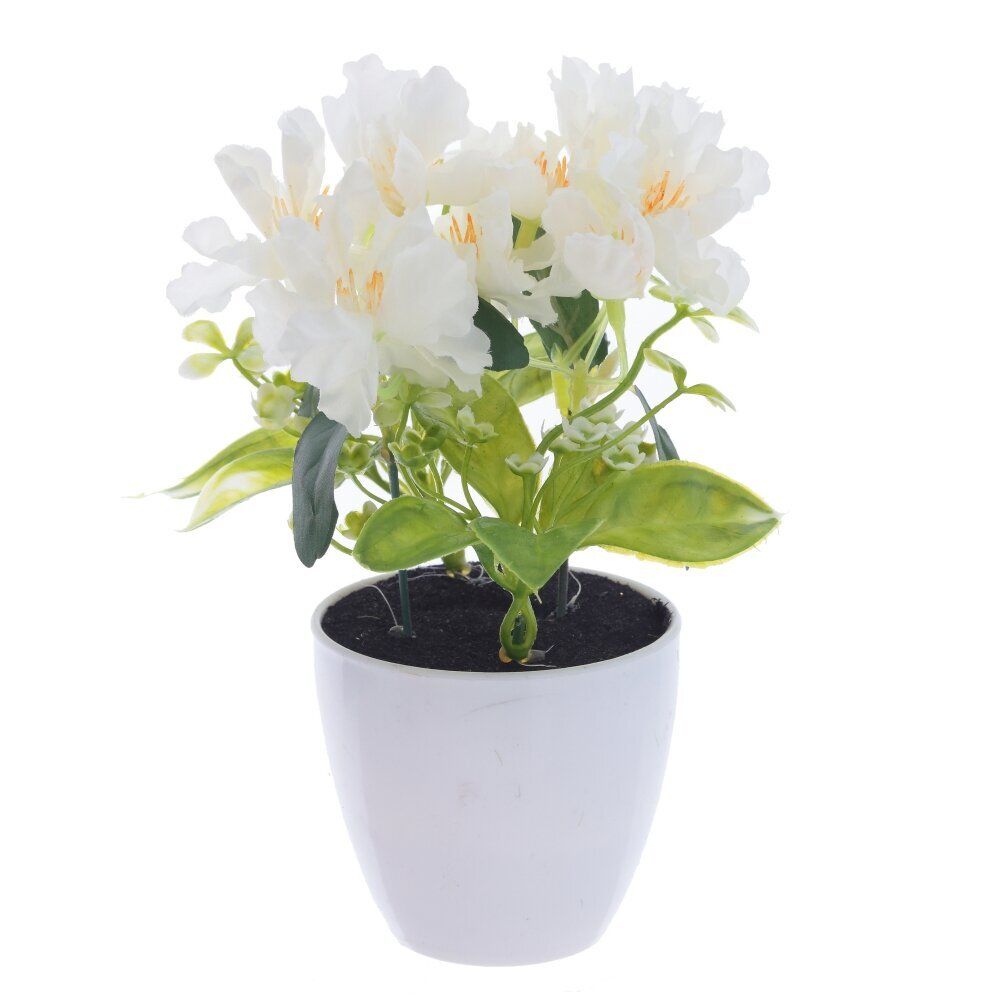 GAEM Цветочная композиция, L11 W11 H19 см, 4в.