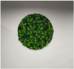 Круглое панно из стабилизированного мха, диаметр 60см