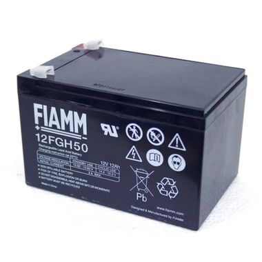 Аккумуляторы FIAMM 12FGH50 - фото 1