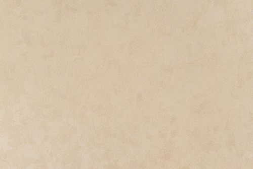 Обои 10363-06 Шарлотта фон Артекс