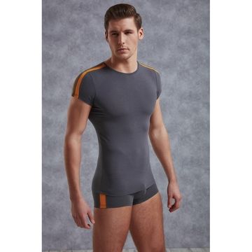 Мужская футболка темно-серая Doreanse 2544