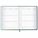 Дневник 1-11 класс 48 л., кожзам (твердая с поролоном), печать, резинка, конверт, BRAUBERG, "Мечты", 106949