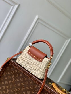 Louis Vuitton Capucines Mini