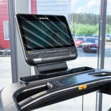Профессиональная беговая дорожка SHUA SH-T8919T (15,6&quot; экран)