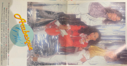 Виниловая пластинка Arabesque - Greatest Hits LP